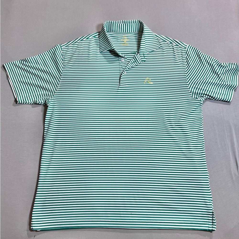 Rhoback Green and White Striped Polo